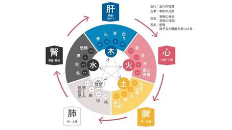 陰と陽|陰陽五行説｜基礎知識から法則、具体例についてわか 